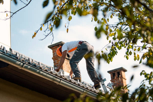 Best Best Roofing Contractors  in Daniels, WV