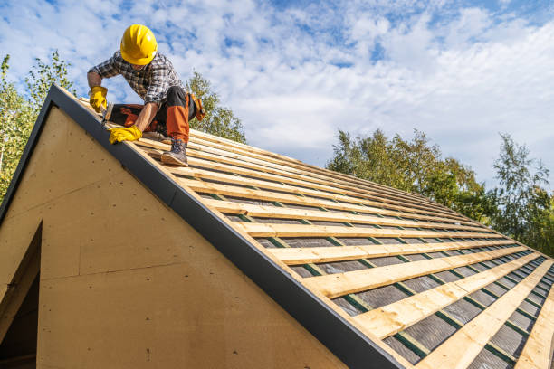Best Roof Gutter Cleaning  in Daniels, WV