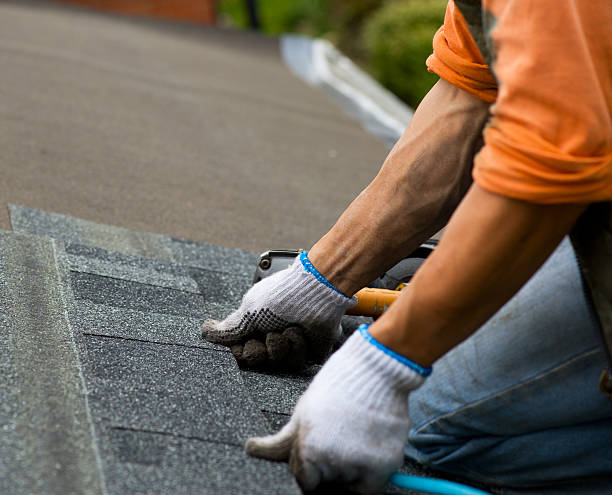 Best Flat Roof Repair Services  in Daniels, WV