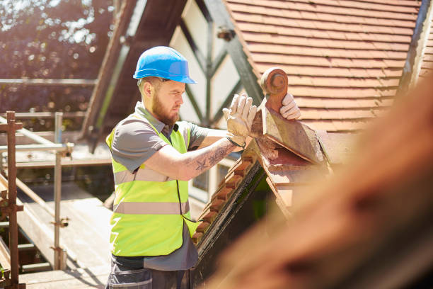 Best Roof Maintenance Services  in Daniels, WV