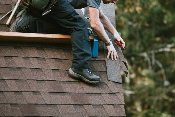 Best Shingle Roofing Installation  in Daniels, WV